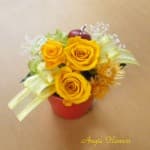 黄色バラ Angie Flowers